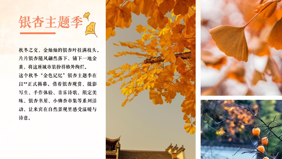 地产项目秋日游园会系列（秋日の色彩主题）活动策划方案