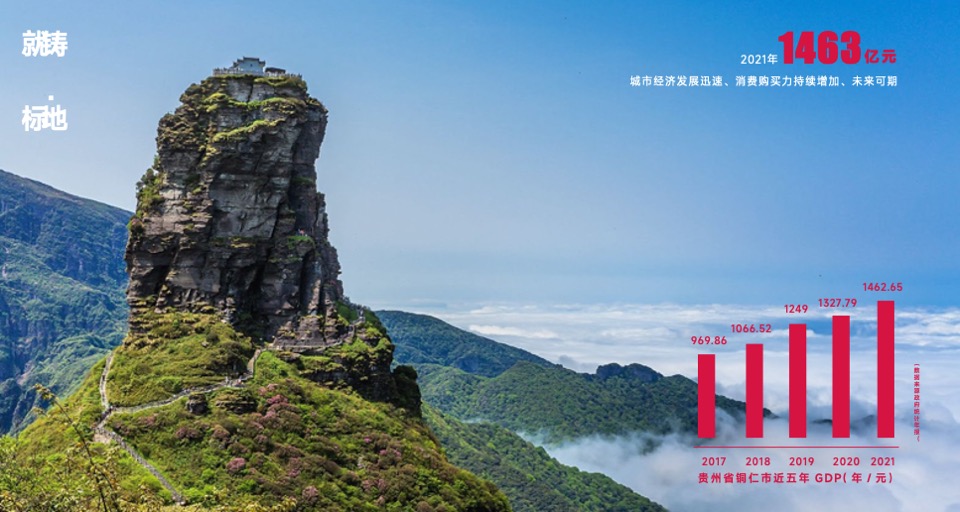 中寰国际招商推广手册