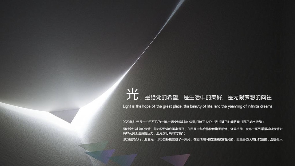 企业商业年会（自有IN力·向光前行主题）活动策划方案