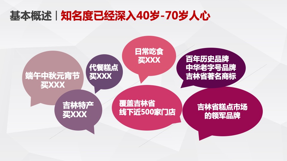 食品品牌升级整合营销方案