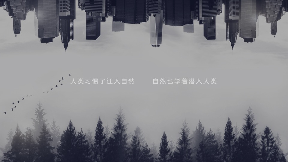 卡萨帝指挥家空调上海区域Q3传播方案