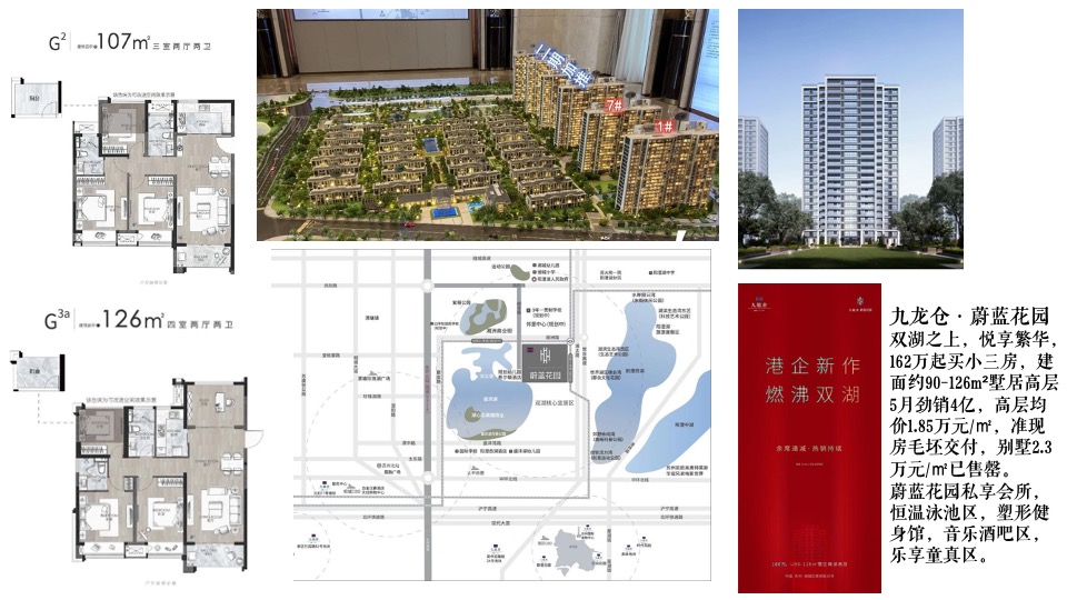 苏州金科浅棠水岸推广策略提案#湖居洋房#