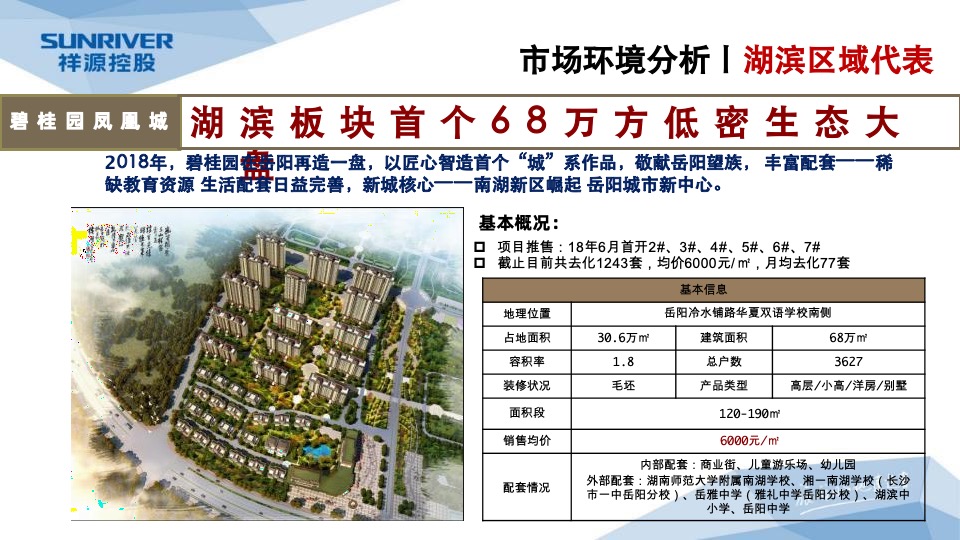 岳阳祥源城市之光年度营销工作总结暨年度营销总纲