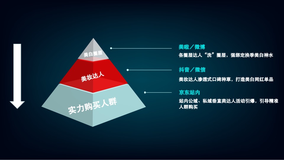 京妆大牌&雪肌精周年庆传播方案（洗护用品）