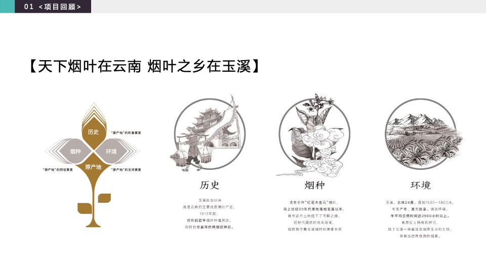 玉溪品牌升级策略方案