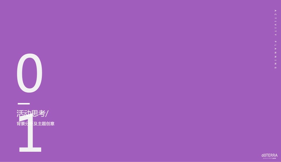 多特瑞领袖高峰会活动策划方案