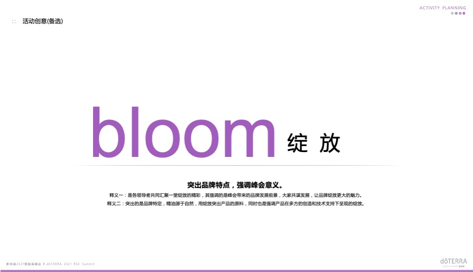 多特瑞领袖高峰会活动策划方案