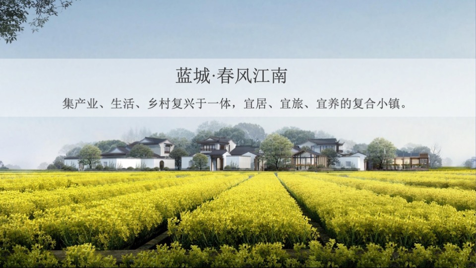 蓝城春风江南年度推广策略方案#文旅小镇##田园##中式#