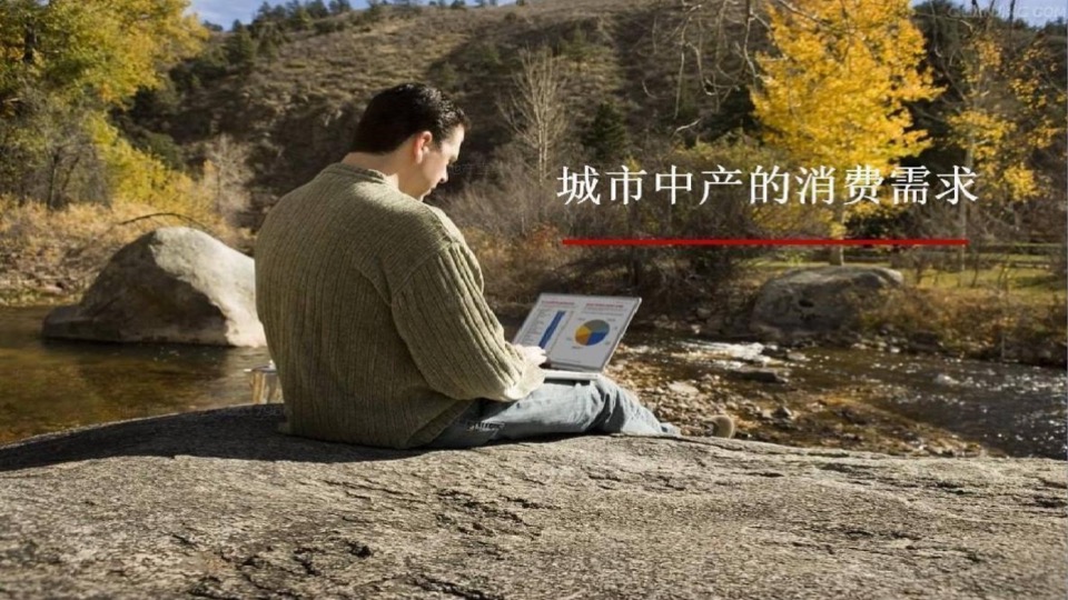 蓝城春风江南年度推广策略方案#文旅小镇##田园##中式#