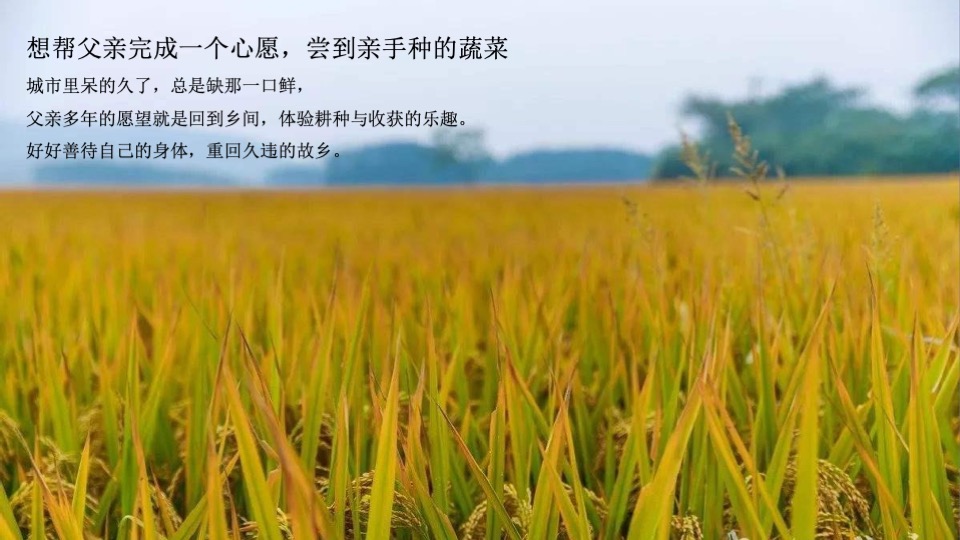 蓝城春风江南年度推广策略方案#文旅小镇##田园##中式#