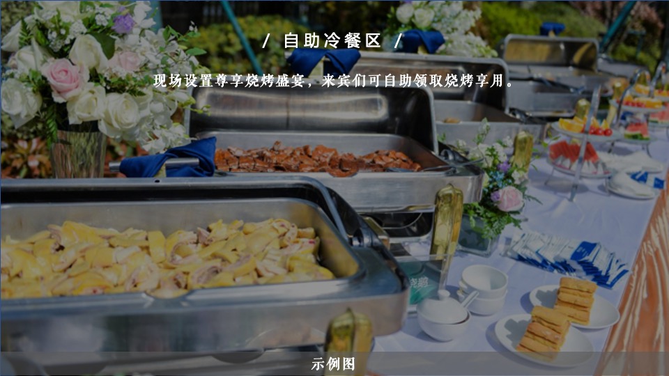 地产项目产品发布会暨样板房开放（与湖山·共鉴未来主题）活动策划方案