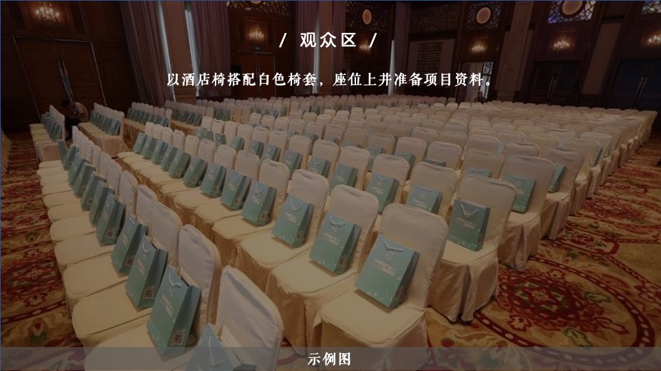 地产项目产品发布会暨样板房开放（与湖山·共鉴未来主题）活动策划方案