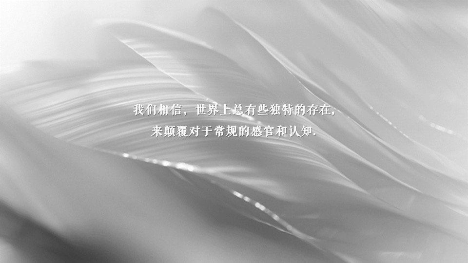 地产项目DIOR 时代风潮大赏暨营销中心开放活动策划方案