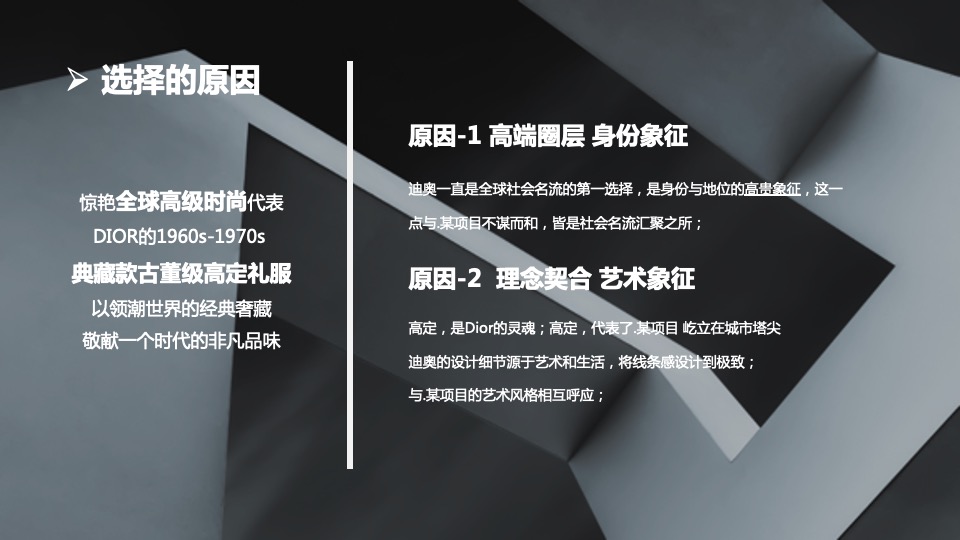 地产项目DIOR 时代风潮大赏暨营销中心开放活动策划方案