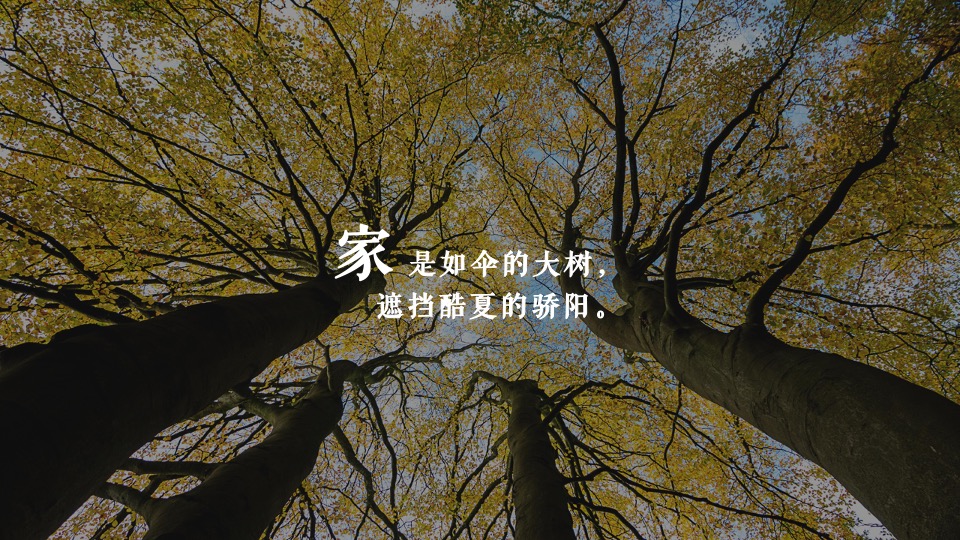 地产项目暖心交付（华彩启幕 归心龙庭主题）活动策划方案