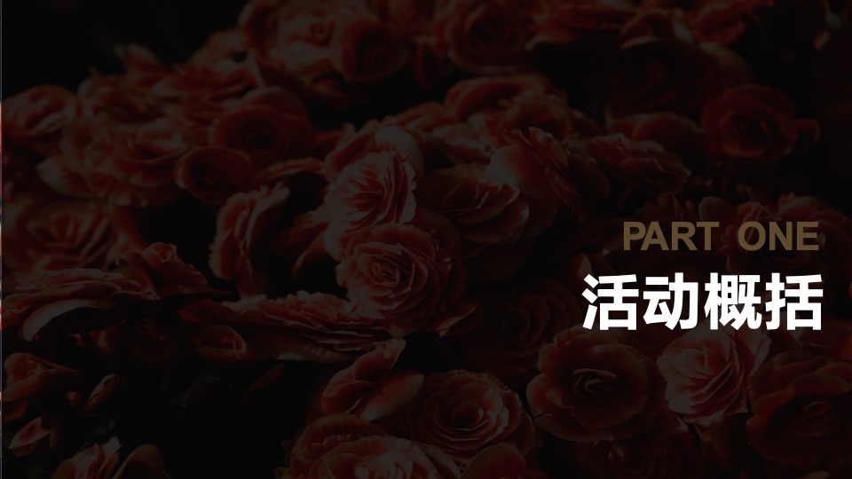 地产项目暖心交付（华彩启幕 归心龙庭主题）活动策划方案