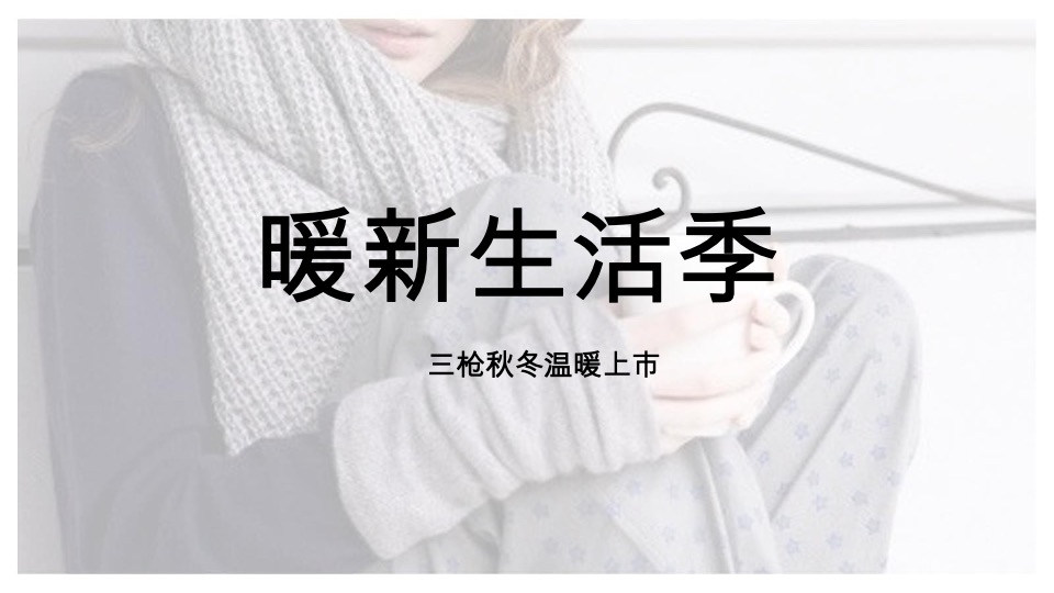 三枪内衣旗舰店春夏季店铺升级方案