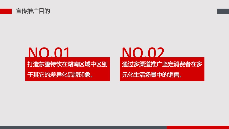 能量饮料品牌年度推广宣传方案