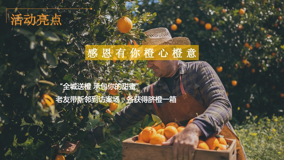 地产项目感恩节定制暖冬火鸡品鉴盛宴主题活动策划方案