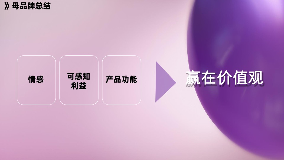 卡萨帝空调年度营销策略比稿方案