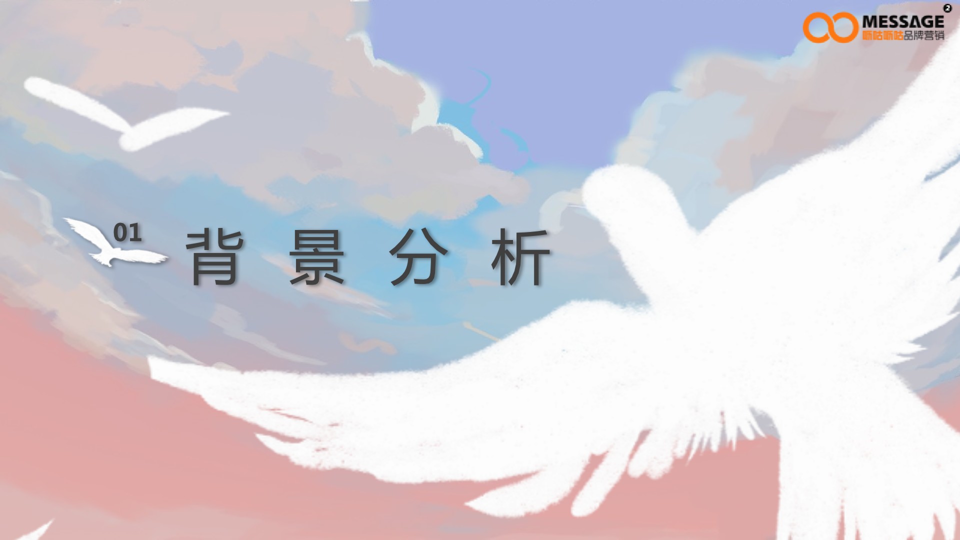 任鸟飞99公益日项目传播推广方案