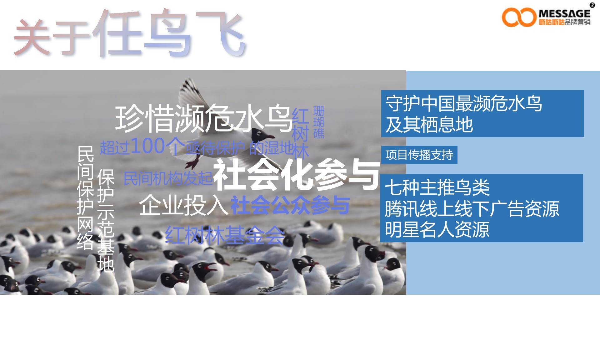 任鸟飞99公益日项目传播推广方案