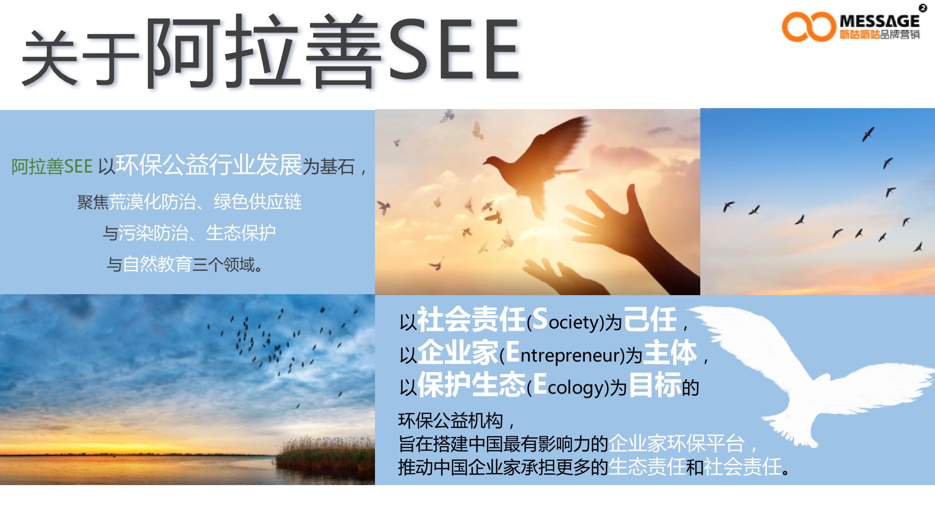 任鸟飞99公益日项目传播推广方案