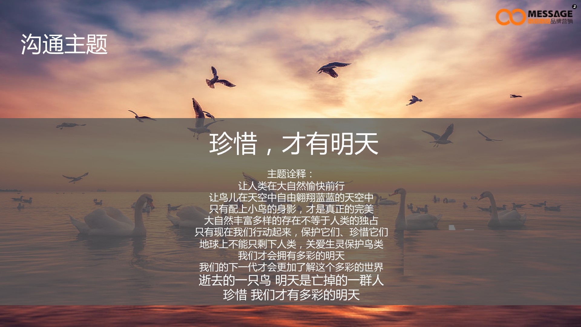 任鸟飞99公益日项目传播推广方案