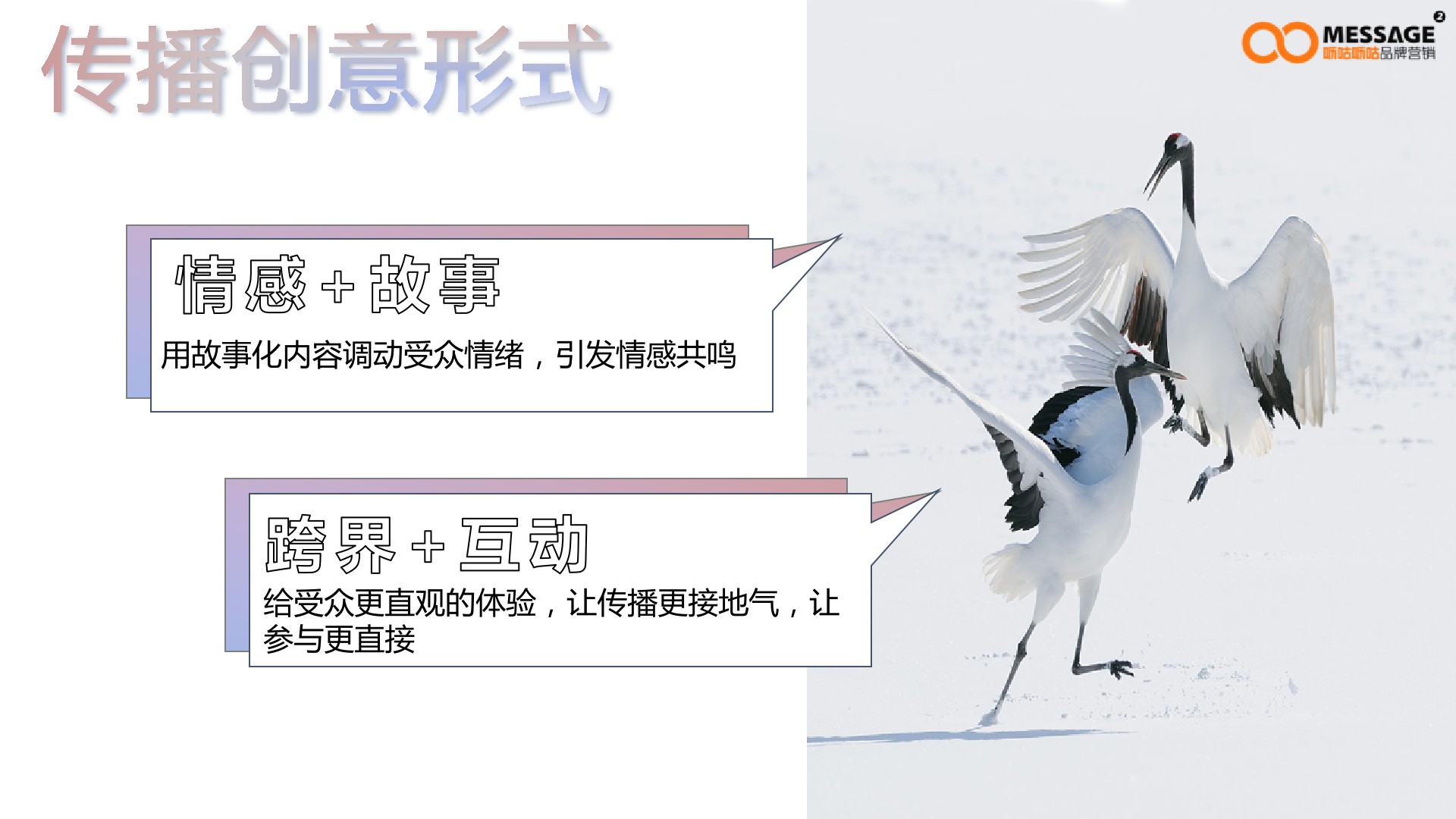 任鸟飞99公益日项目传播推广方案