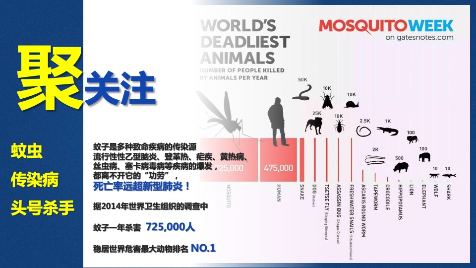 雷达欢聚日创意营销方案