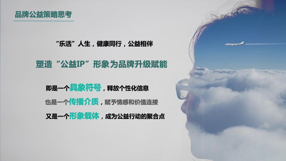 保险品牌年度线上公益传播规划全案