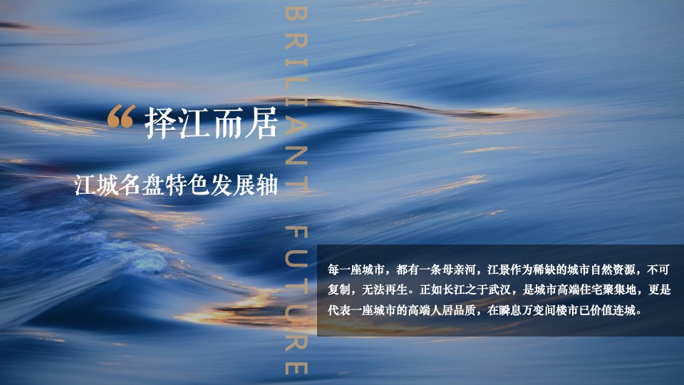 地产项目品牌发布会（匠心筑力 共悦江来主题）活动策划方案