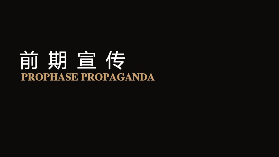 地产项目品牌发布会（匠心筑力 共悦江来主题）活动策划方案