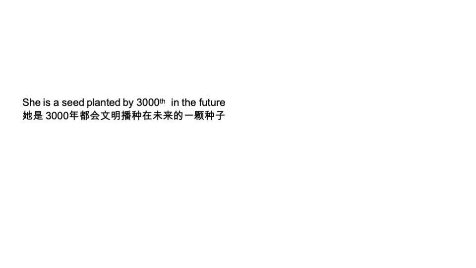长沙华润置地中心综合体推广竞标方案