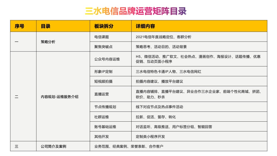 电信品牌年度运营传播宣传方案