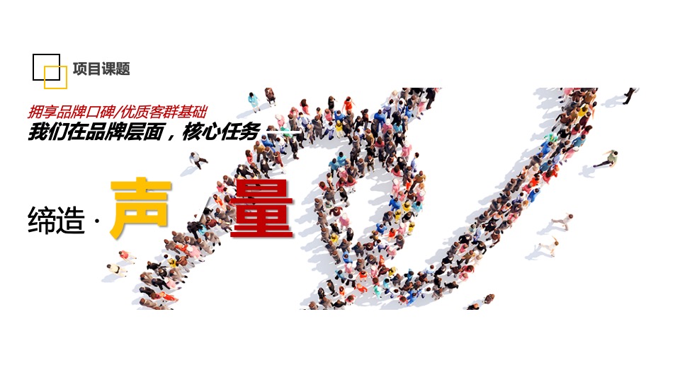 电信品牌年度运营传播宣传方案