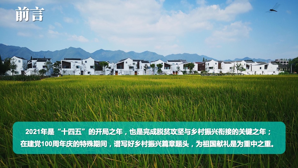 乡村振兴系列活动初案