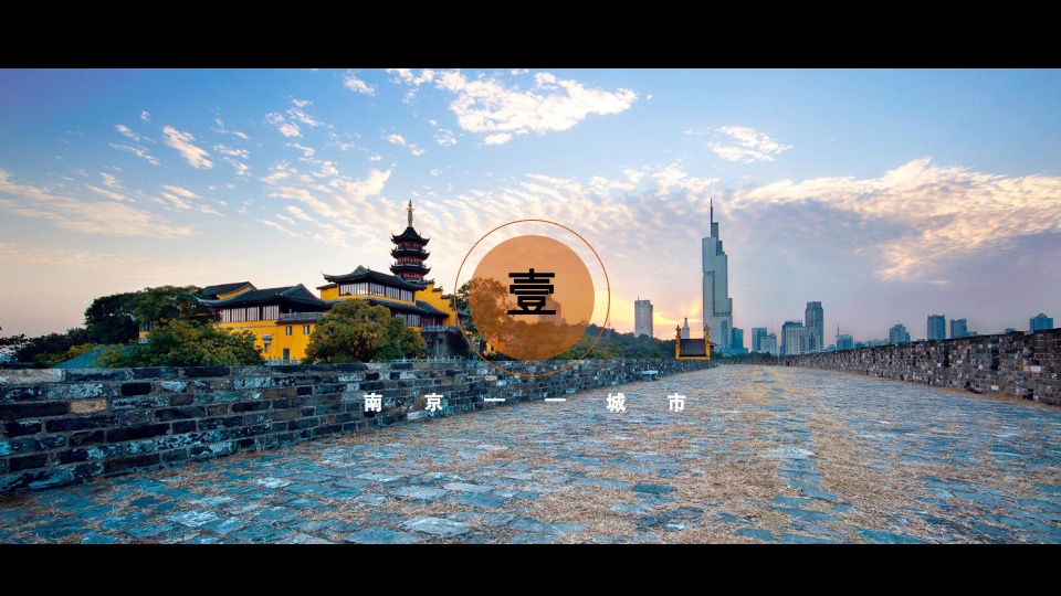 龙湖南京桥林项目推广提案#洋房##叠墅#