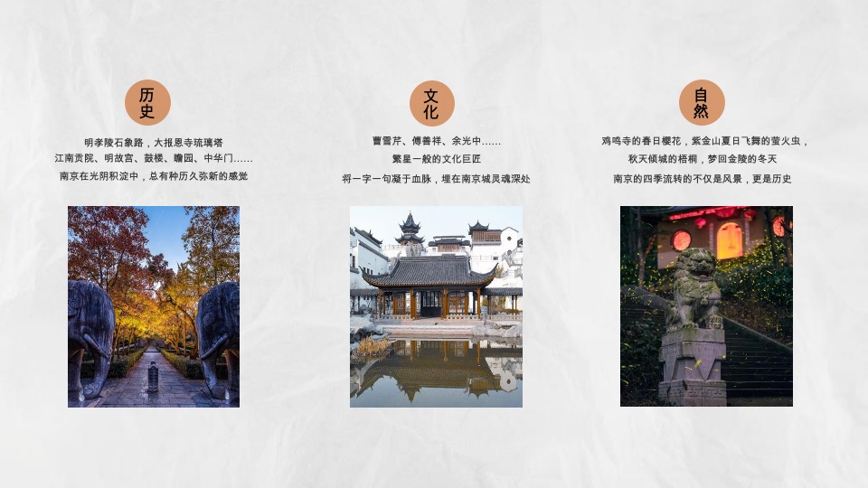 龙湖南京桥林项目推广提案#洋房##叠墅#