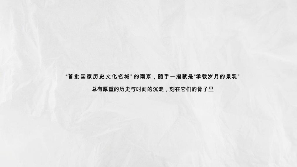 龙湖南京桥林项目推广提案#洋房##叠墅#