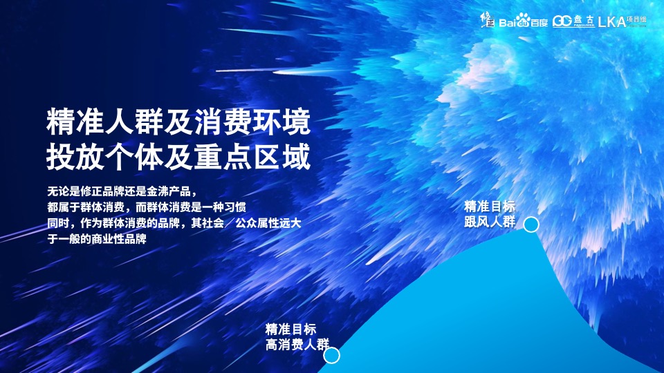 修正集团 金沸饮料品牌策略营销策划方案-医药业