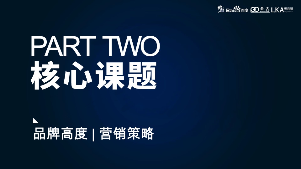 修正集团 金沸饮料品牌策略营销策划方案-医药业