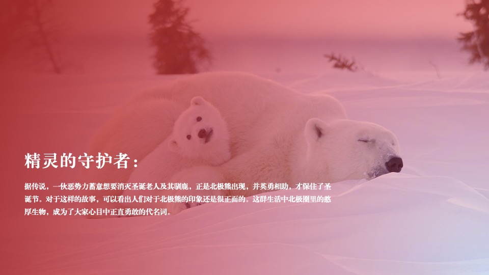 文旅项目北极熊奇遇记（冬日奇遇主题）活动策划方案