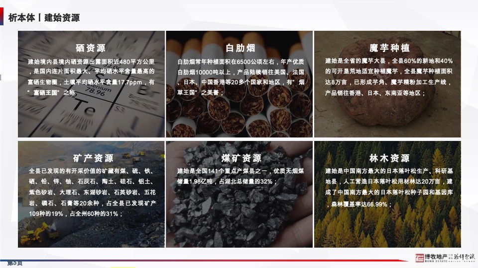 花坪云溪项目年度营销方案