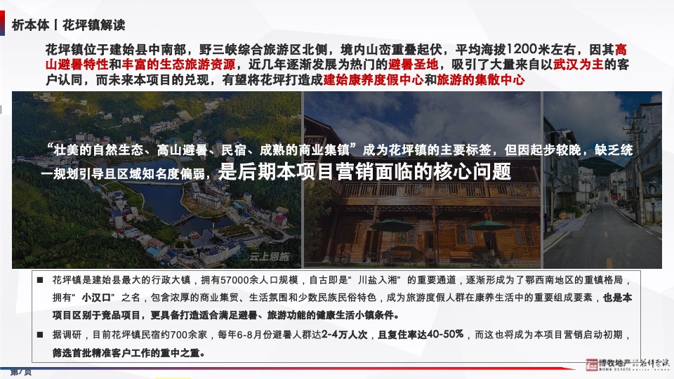 花坪云溪项目年度营销方案