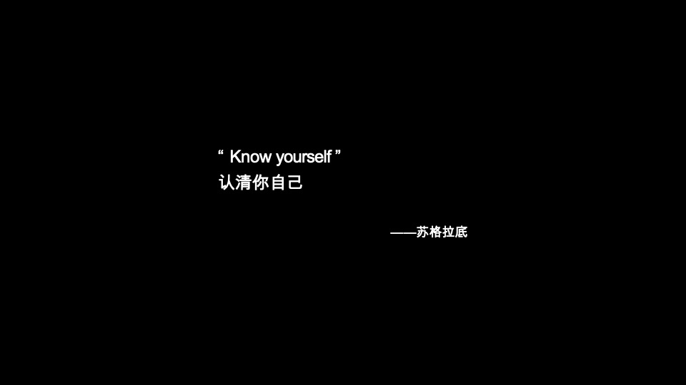 广西保利豪宅线整合传播方案