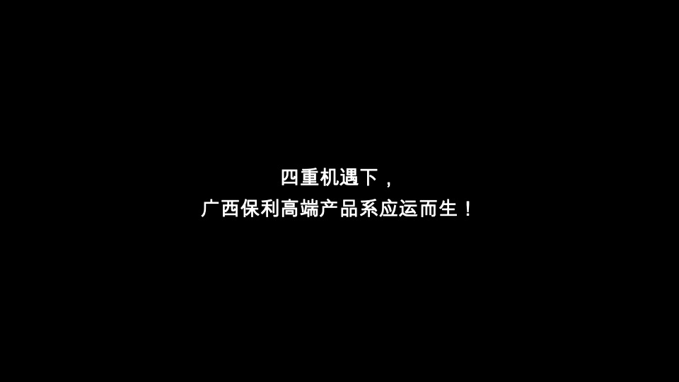广西保利豪宅线整合传播方案