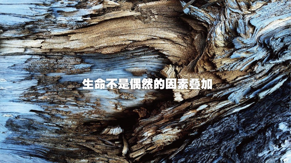 广西保利豪宅线整合传播方案