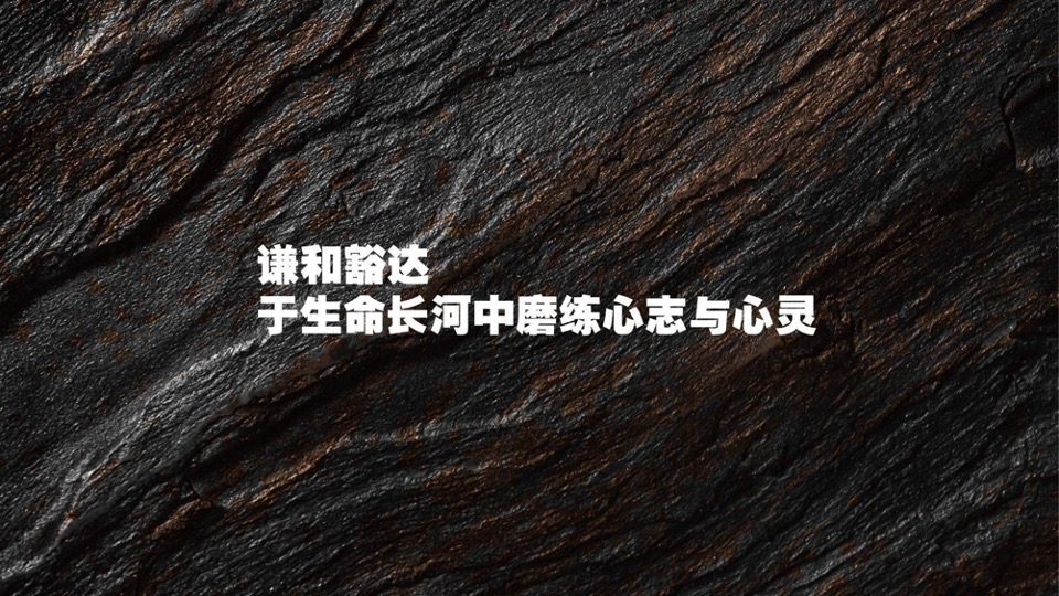广西保利豪宅线整合传播方案