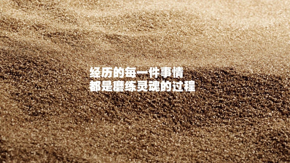 广西保利豪宅线整合传播方案